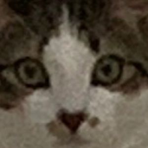 Meet your Posher, Claire